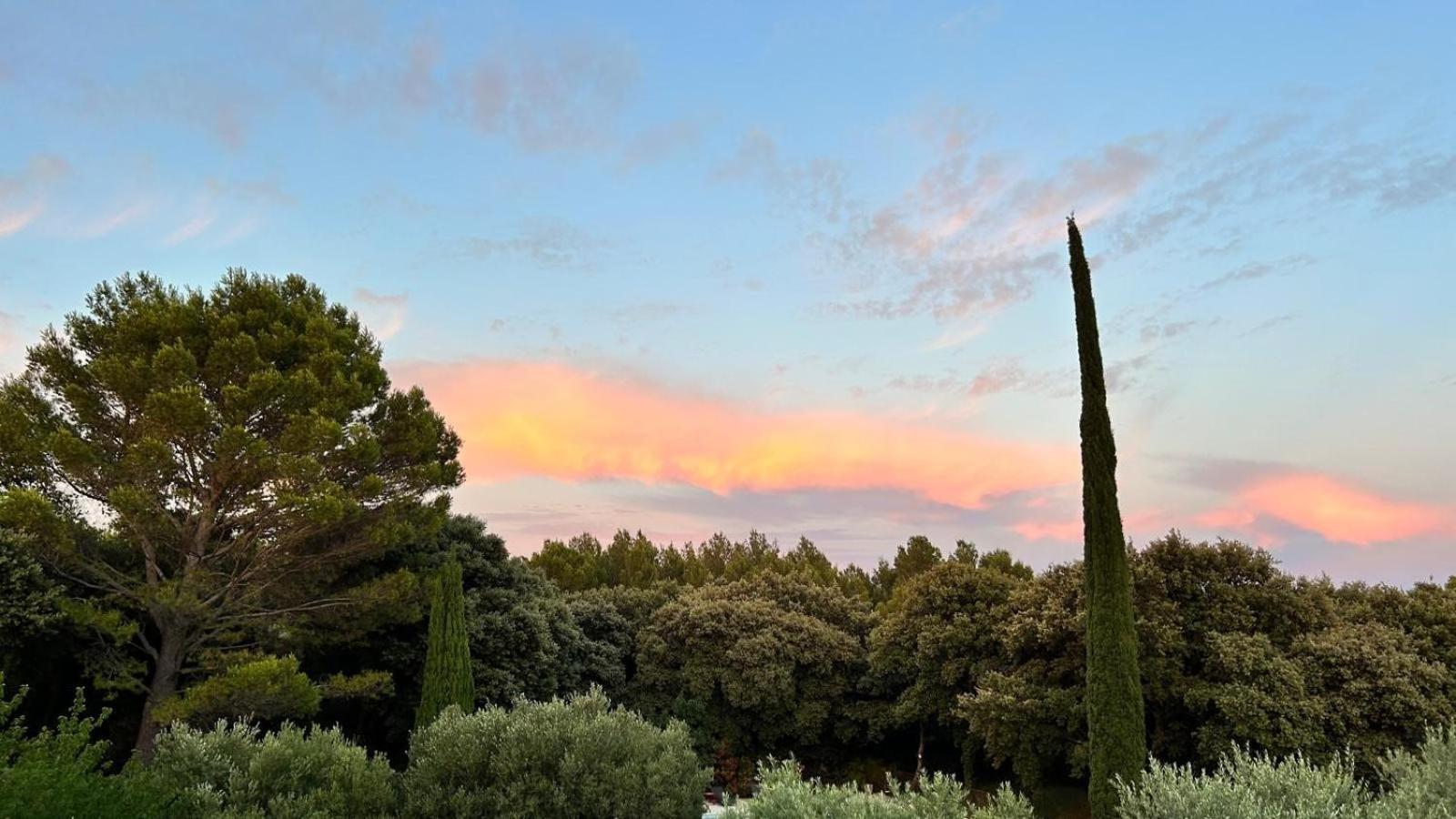 Hotel Domaine Colibri En Provence Pujaut Exterior foto